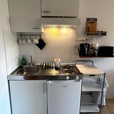 公寓 Nefeli 瓦西